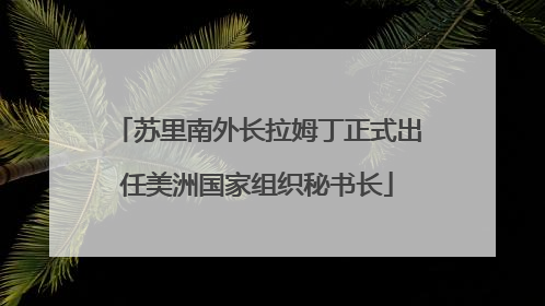 苏里南外长拉姆丁正式出任美洲国家组织秘书长