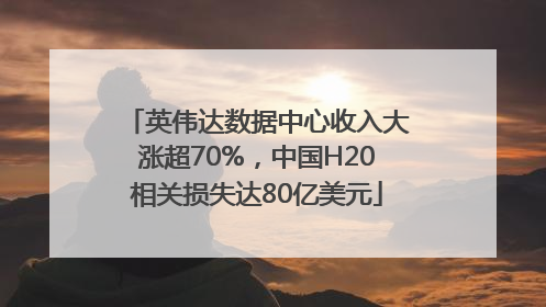 英伟达数据中心收入大涨超70%，中国H20相关损失达80亿美元