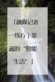 融媒记者一线行｜果蔬的“智能生活”