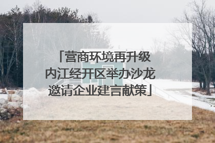 营商环境再升级 内江经开区举办沙龙邀请企业建言献策