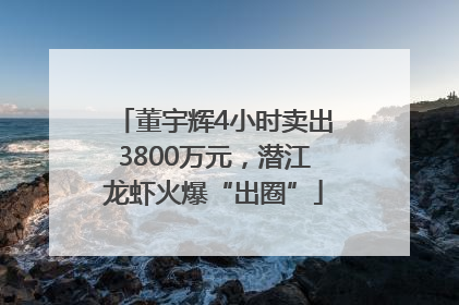 董宇辉4小时卖出3800万元，潜江龙虾火爆“出圈”