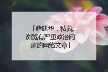 薛建华，私藏、浏览有严重政治问题的网络文章