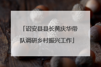 诏安县县长黄庆华带队调研乡村振兴工作