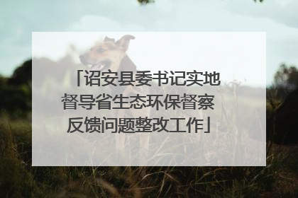 诏安县委书记实地督导省生态环保督察反馈问题整改工作