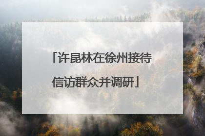 许昆林在徐州接待信访群众并调研