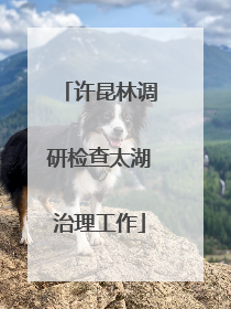 许昆林调研检查太湖治理工作