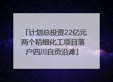 计划总投资22亿元 两个精细化工项目落户四川自贡沿滩