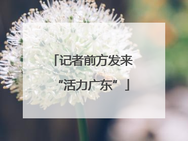 记者前方发来“活力广东”