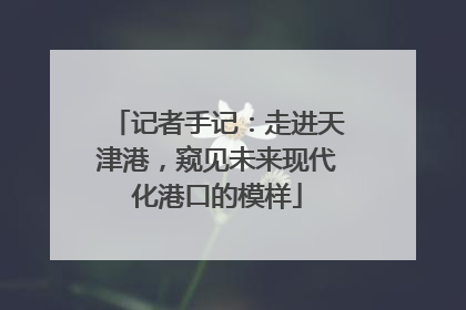 记者手记：走进天津港，窥见未来现代化港口的模样