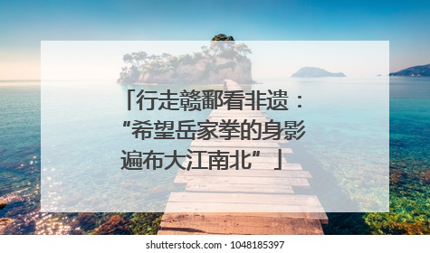 行走赣鄱看非遗：“希望岳家拳的身影遍布大江南北”