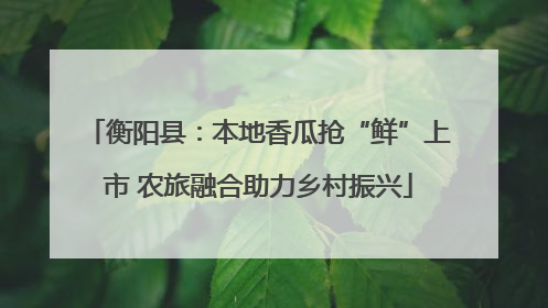 衡阳县：本地香瓜抢“鲜”上市 农旅融合助力乡村振兴
