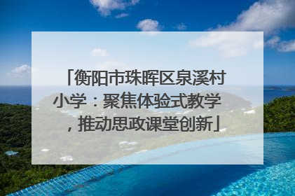 衡阳市珠晖区泉溪村小学：聚焦体验式教学，推动思政课堂创新