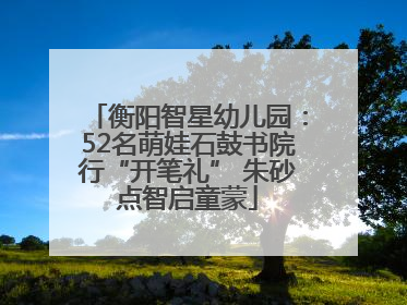 衡阳智星幼儿园：52名萌娃石鼓书院行“开笔礼” 朱砂点智启童蒙