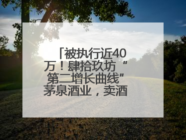 被执行近40万！肆拾玖坊“第二增长曲线”茅泉酒业，卖酒还是卖模式？
