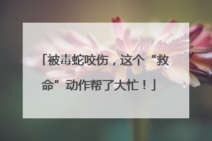 被毒蛇咬伤，这个“救命”动作帮了大忙！