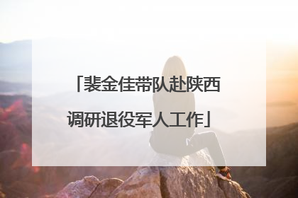 裴金佳带队赴陕西调研退役军人工作