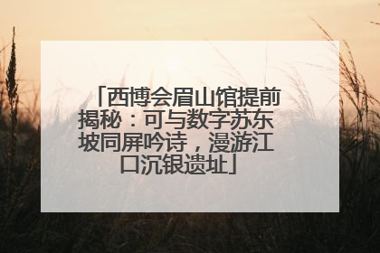 西博会眉山馆提前揭秘：可与数字苏东坡同屏吟诗，漫游江口沉银遗址