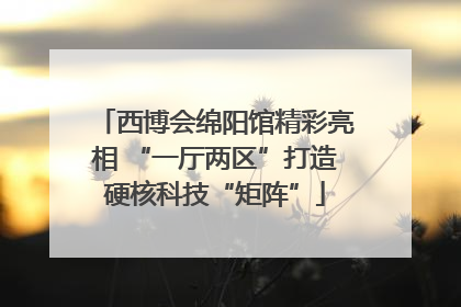 西博会绵阳馆精彩亮相 “一厅两区”打造硬核科技“矩阵”