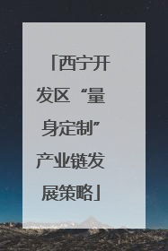 西宁开发区“量身定制”产业链发展策略