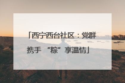 西宁西台社区：党群携手 “粽”享温情