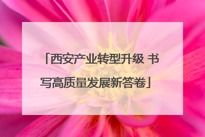 西安产业转型升级 书写高质量发展新答卷