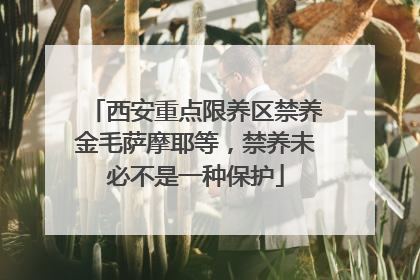 西安重点限养区禁养金毛萨摩耶等，禁养未必不是一种保护
