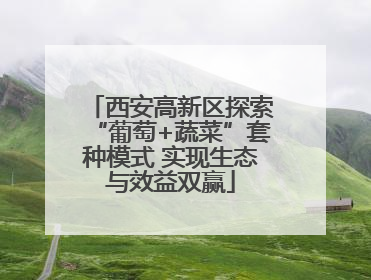 西安高新区探索“葡萄+蔬菜”套种模式 实现生态与效益双赢