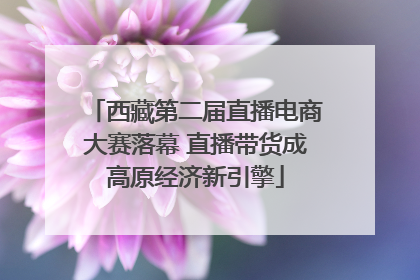 西藏第二届直播电商大赛落幕 直播带货成高原经济新引擎