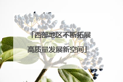 西部地区不断拓展高质量发展新空间