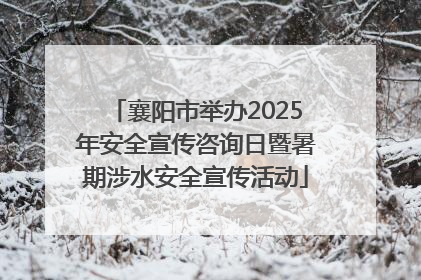 襄阳市举办2025年安全宣传咨询日暨暑期涉水安全宣传活动