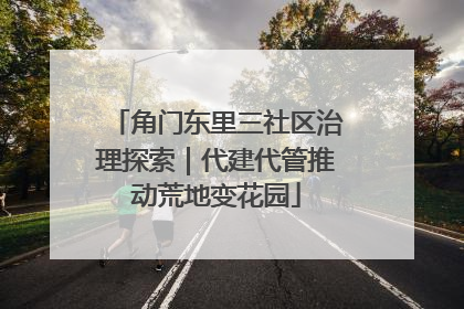 角门东里三社区治理探索｜代建代管推动荒地变花园
