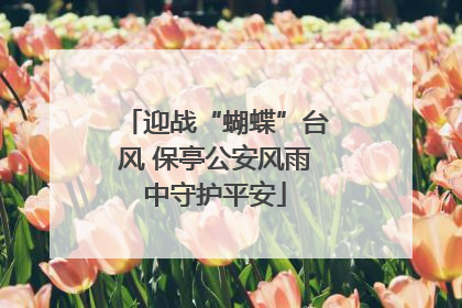 迎战“蝴蝶”台风 保亭公安风雨中守护平安