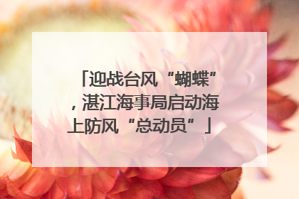 迎战台风“蝴蝶”，湛江海事局启动海上防风“总动员”
