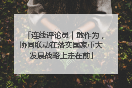 连线评论员｜敢作为，协同联动在落实国家重大发展战略上走在前