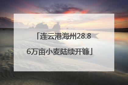 连云港海州28.86万亩小麦陆续开镰