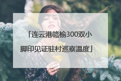 连云港赣榆300双小脚印见证驻村巡察温度