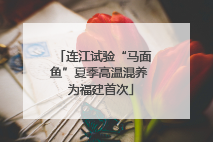 连江试验“马面鱼”夏季高温混养 为福建首次