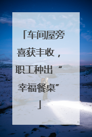 车间屋旁喜获丰收，职工种出“幸福餐桌”