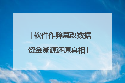 软件作弊篡改数据 资金溯源还原真相