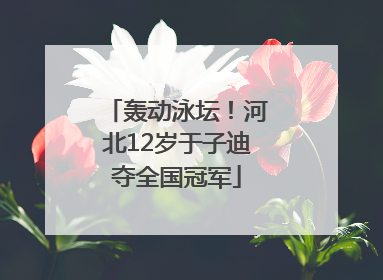 轰动泳坛！河北12岁于子迪夺全国冠军