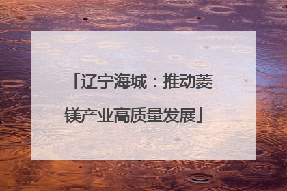 辽宁海城：推动菱镁产业高质量发展