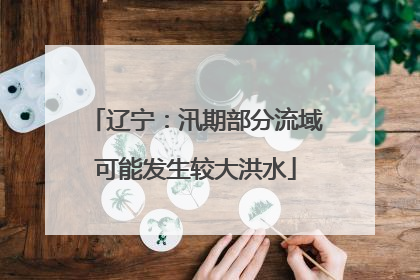 辽宁：汛期部分流域可能发生较大洪水