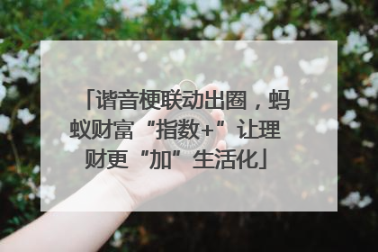 谐音梗联动出圈，蚂蚁财富“指数+”让理财更“加”生活化