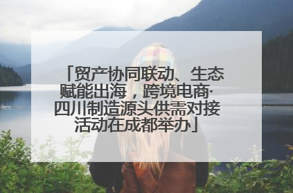 贸产协同联动、生态赋能出海，跨境电商·四川制造源头供需对接活动在成都举办