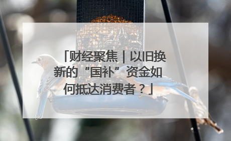 财经聚焦｜以旧换新的“国补”资金如何抵达消费者？