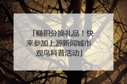 赚积分换礼品！快来参加上游新闻城市观鸟科普活动