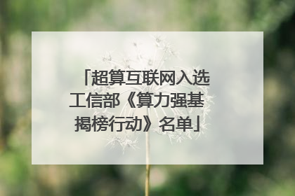 超算互联网入选工信部《算力强基揭榜行动》名单