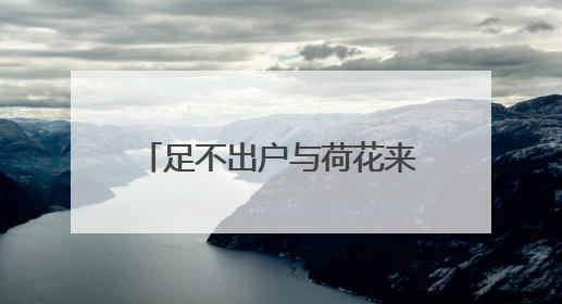 足不出户与荷花来一场浪漫约会！湖北推出赏荷地图