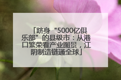 跻身“5000亿俱乐部”的县级市：从港口繁荣看产业图景，江阴制造链通全球