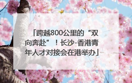 跨越800公里的“双向奔赴”！长沙-香港青年人才对接会在港举办